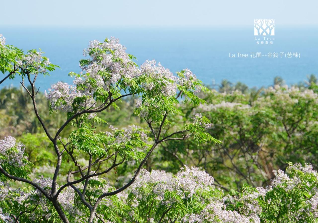 Apartmán La Tree 普椿農場木子莊園 Donghe Exteriér fotografie
