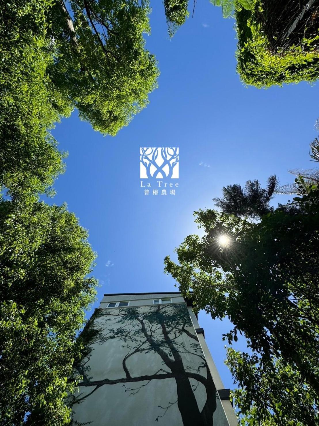 Apartmán La Tree 普椿農場木子莊園 Donghe Exteriér fotografie